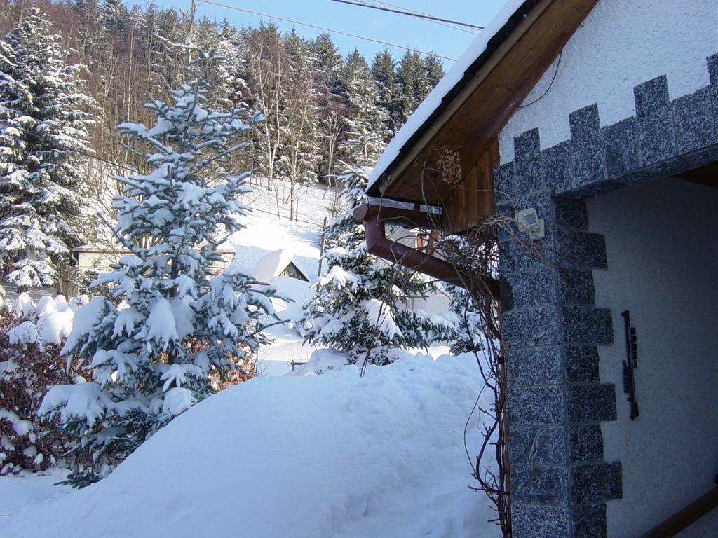 Ferienwohnung Bimmelbahn-Blick Neudorf  객실 사진